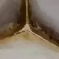 moisture control