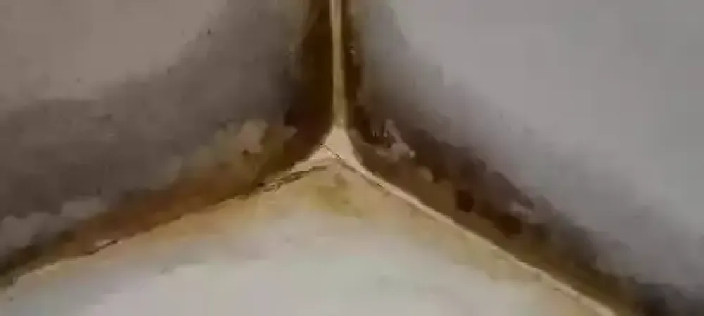 moisture control